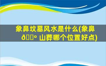 象鼻坟墓风水是什么(象鼻 🌺 山葬哪个位置好点)